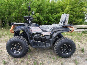 Квадроцикл FORTE AFC-250 PRO | 4х2 1016 фото