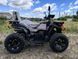 Квадроцикл FORTE AFC-250 PRO | 4х2 1016 фото 3