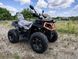 Квадроцикл FORTE AFC-250 PRO | 4х2 1016 фото 8