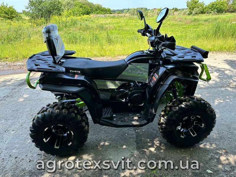 Квадроцикл FORTE AFC-250 PRO | 4х2 1016 фото