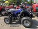 Квадроцикл Spark SP175-1 Спарк варіатор із заднім ходом, 4х2 1191723759 фото 2