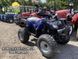Квадроцикл Spark SP175-1 Спарк варіатор із заднім ходом, 4х2 1191723759 фото 5