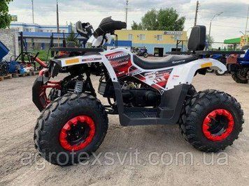 FORTE BRAVES 200 КВАДРОЦИКЛ Форте Бравес 1176761700 фото