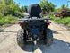 Квадроцикл Segway Snarler 500F AT5L Full DeLuxe | Усилитель руля | Амортизаторы газ-масло 2687561336 фото 6