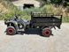 Квадроцикл Вантажний FORTE ATV-250BS-T | 4х2 | механіка 2465903606 фото 1