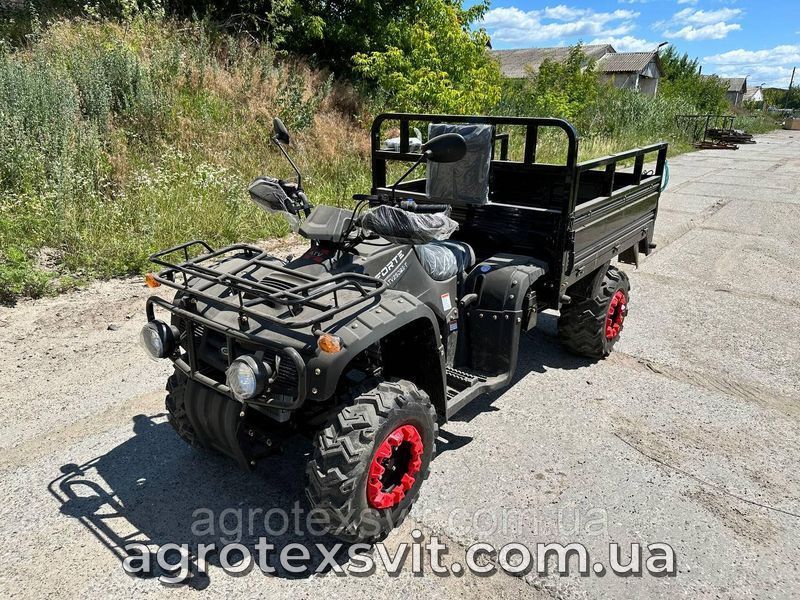 Квадроцикл Вантажний FORTE ATV-250BS-T | 4х2 | механіка 2465903606 фото