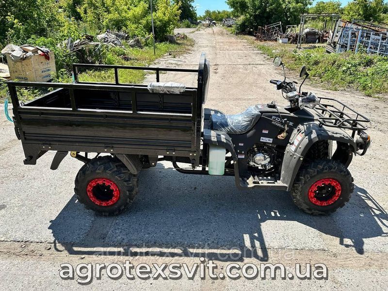 Квадроцикл Вантажний FORTE ATV-250BS-T | 4х2 | механіка 2465903606 фото