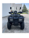 Квадроцикл FORTE ATV 250 BS Башан | механіка | 4х2 | Карданний привід 2928403279 фото 4