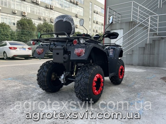 Квадроцикл FORTE ATV 250 BS Башан | механіка | 4х2 | Карданний привід 2928403279 фото