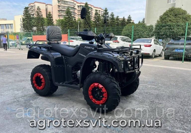 Квадроцикл FORTE ATV 250 BS Башан | механіка | 4х2 | Карданний привід 2928403279 фото