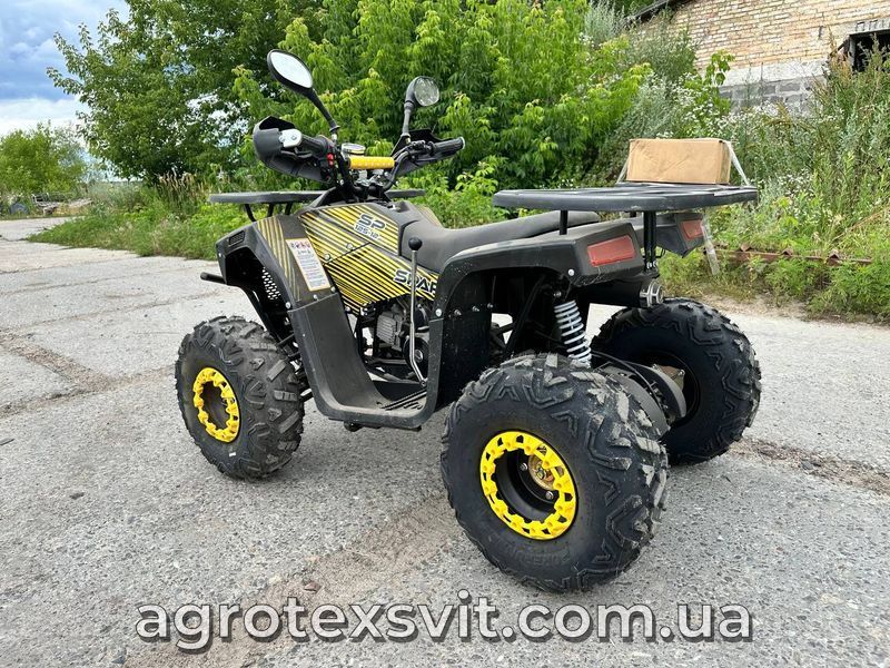 Квадроцикл Spark SP125 - 12 1055 фото