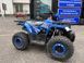 Квадроцикл COMMAN HUNTER SCRAMBLER 150 CC в синем цвете 1271777629 фото 6