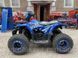Квадроцикл COMMAN HUNTER SCRAMBLER 150 CC в синем цвете 1271777629 фото 4